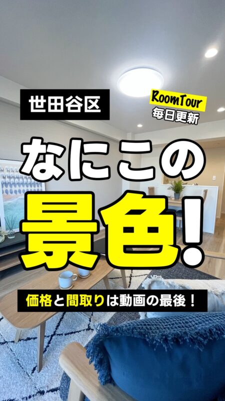明大前 49.32㎡ 2LDK 4,280万円（眺望良好、南向き、フルリフォーム、家具付き）